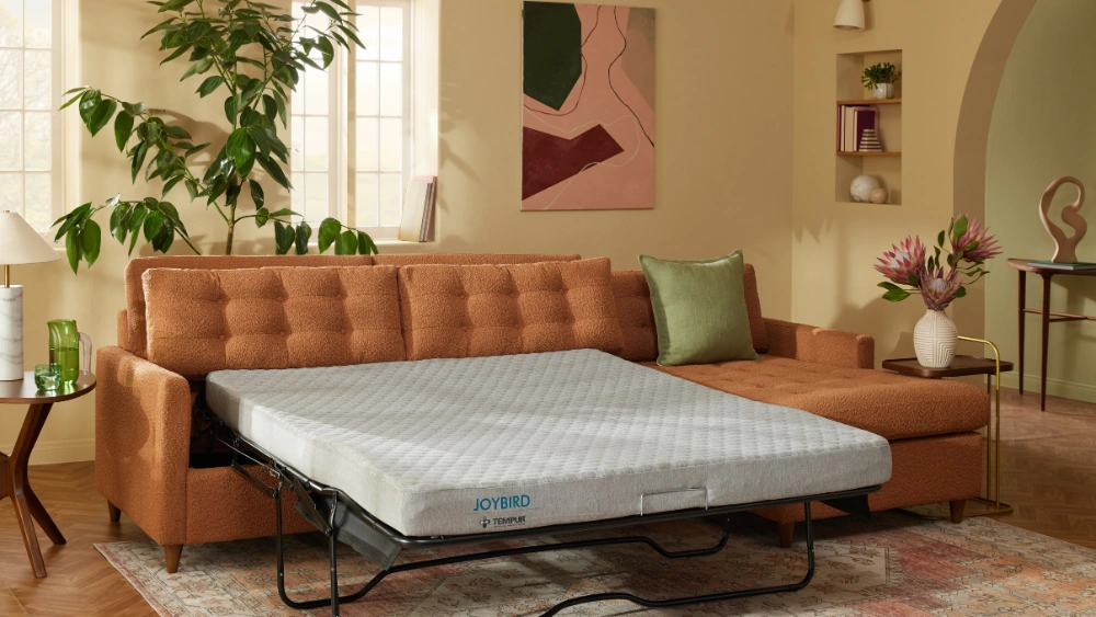 Best Non Toxic Sleeper Sofa for Stylish and Healthy Living Room Comfort